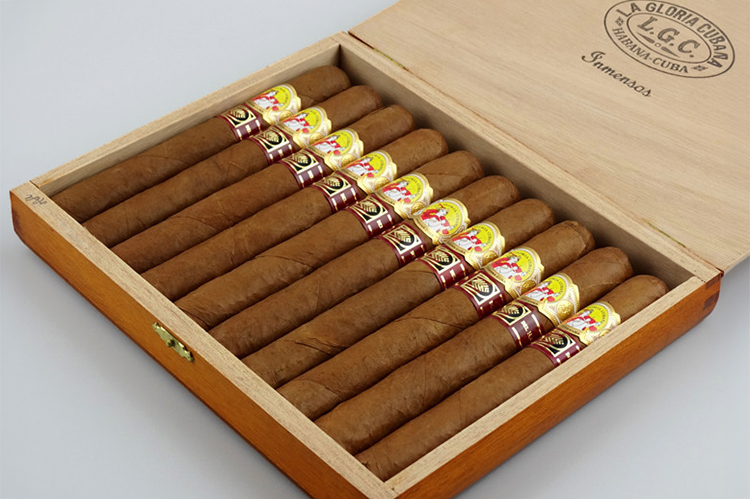 10支 La Gloria Cubana Inmensos LCDH Exclusivo 庞大LCDH定制版