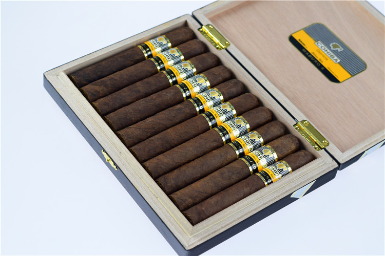 10支 Cohiba Maduro 5 Genios 天才
